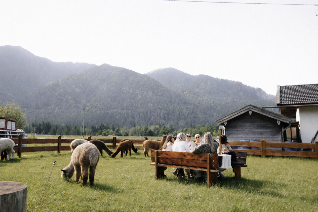 Seminar Pause auf der Alpakawiese