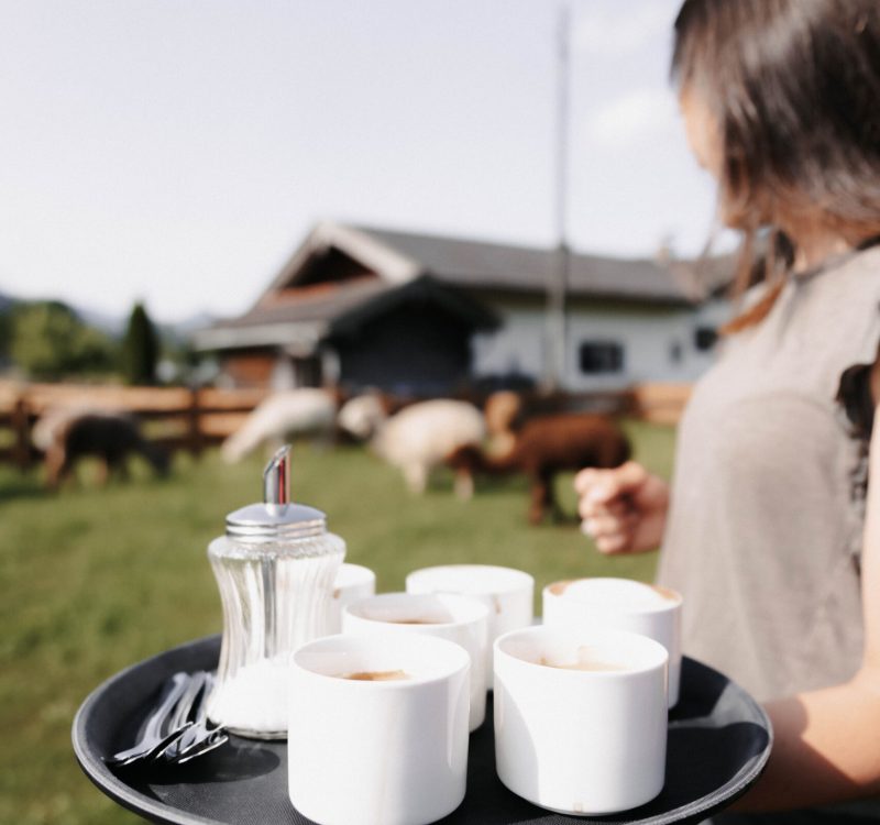 Seminar Pause auf der Alpakawiese